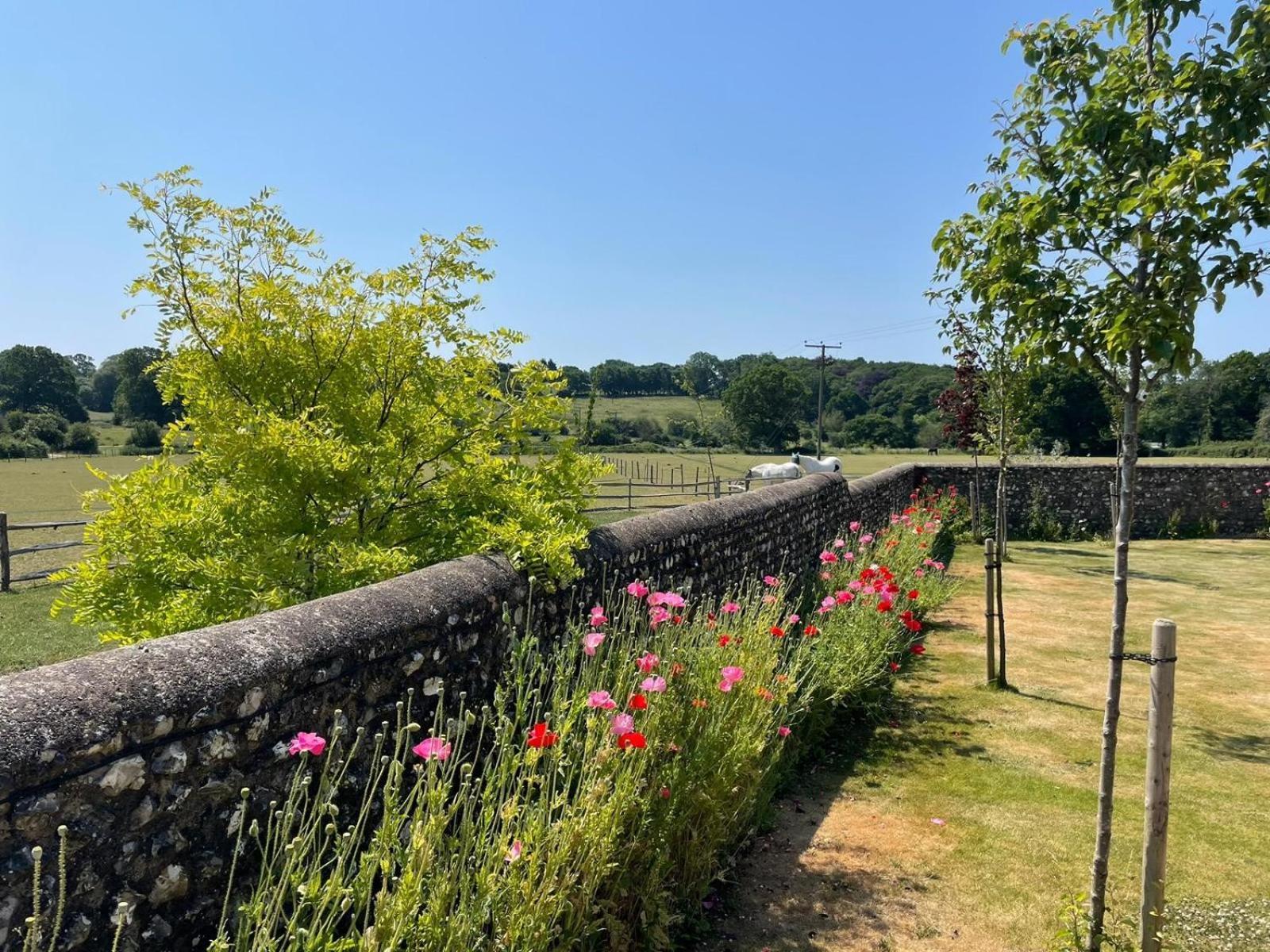 Clapham  Old Selden Farm B&B מראה חיצוני תמונה