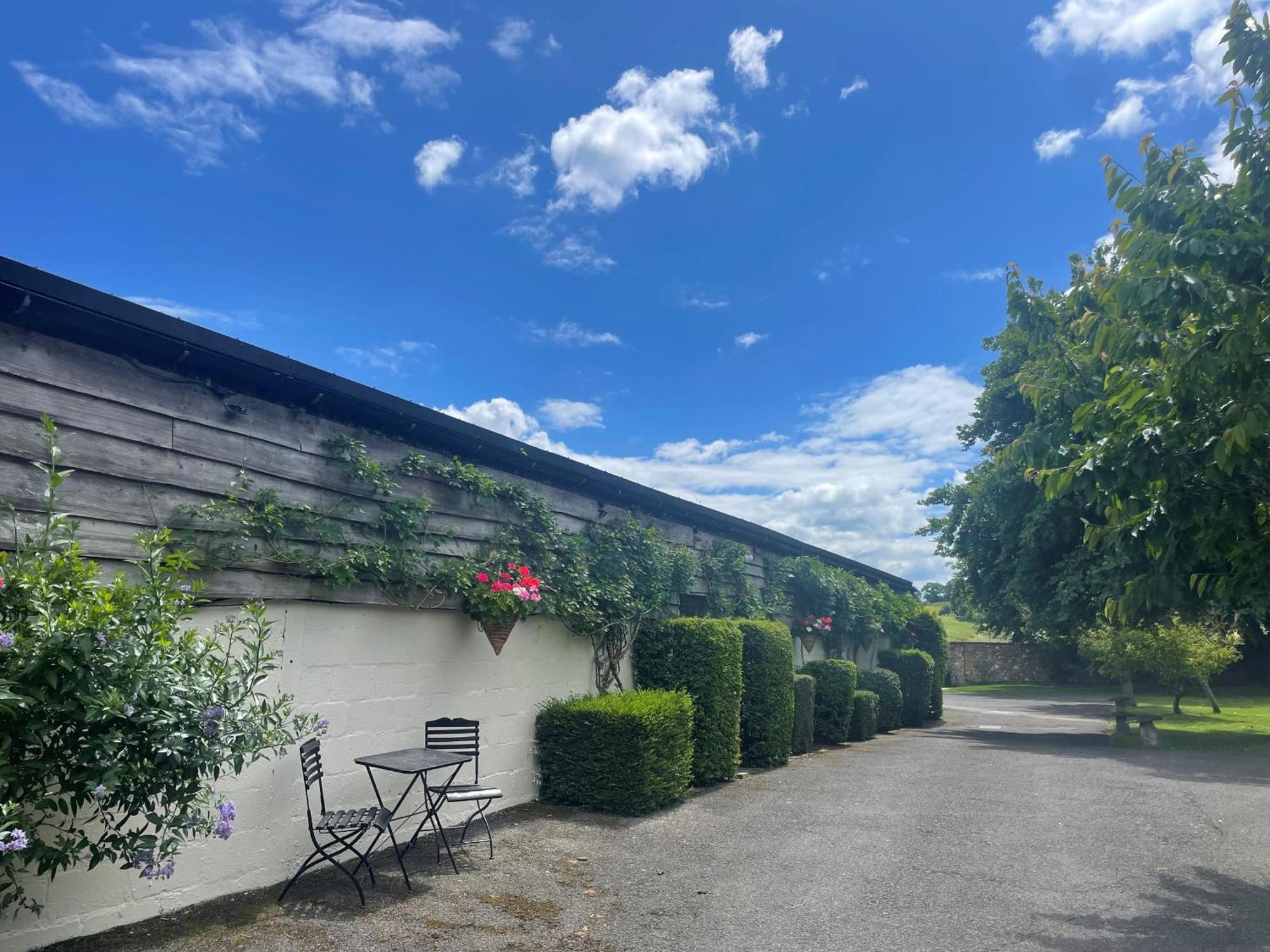 Clapham  Old Selden Farm B&B מראה חיצוני תמונה