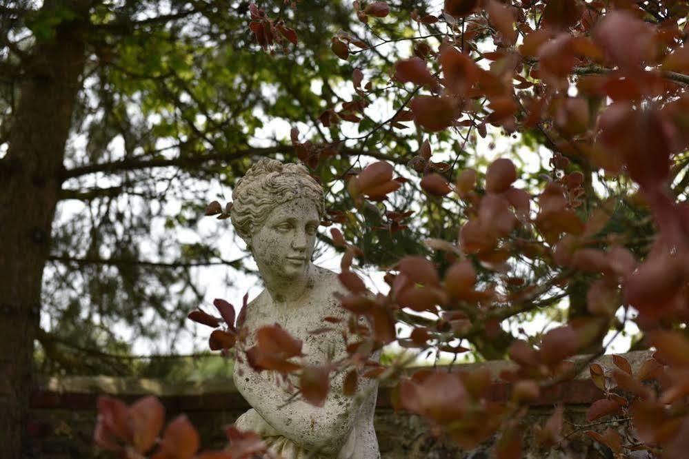 Clapham  Old Selden Farm B&B מראה חיצוני תמונה