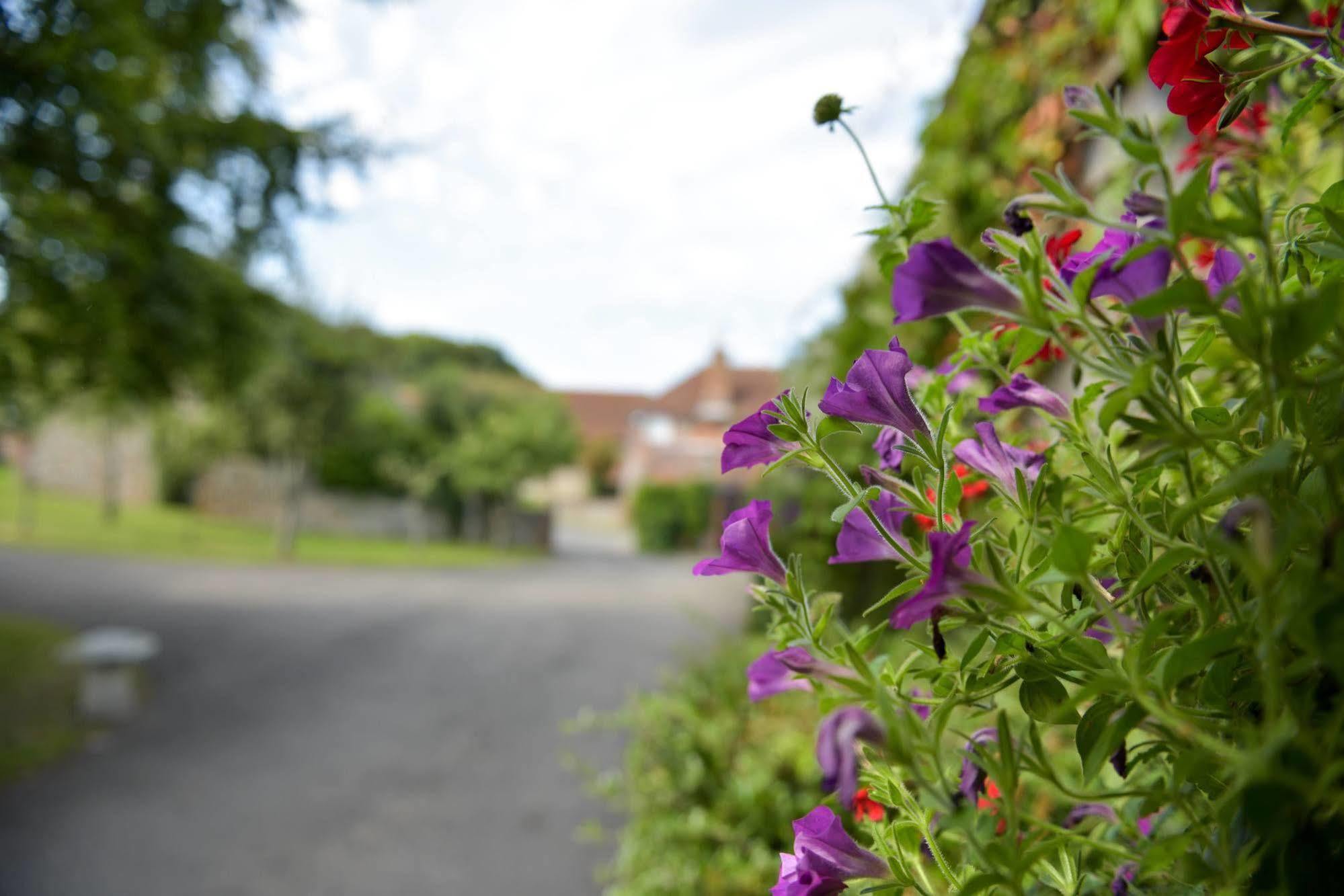 Clapham  Old Selden Farm B&B מראה חיצוני תמונה