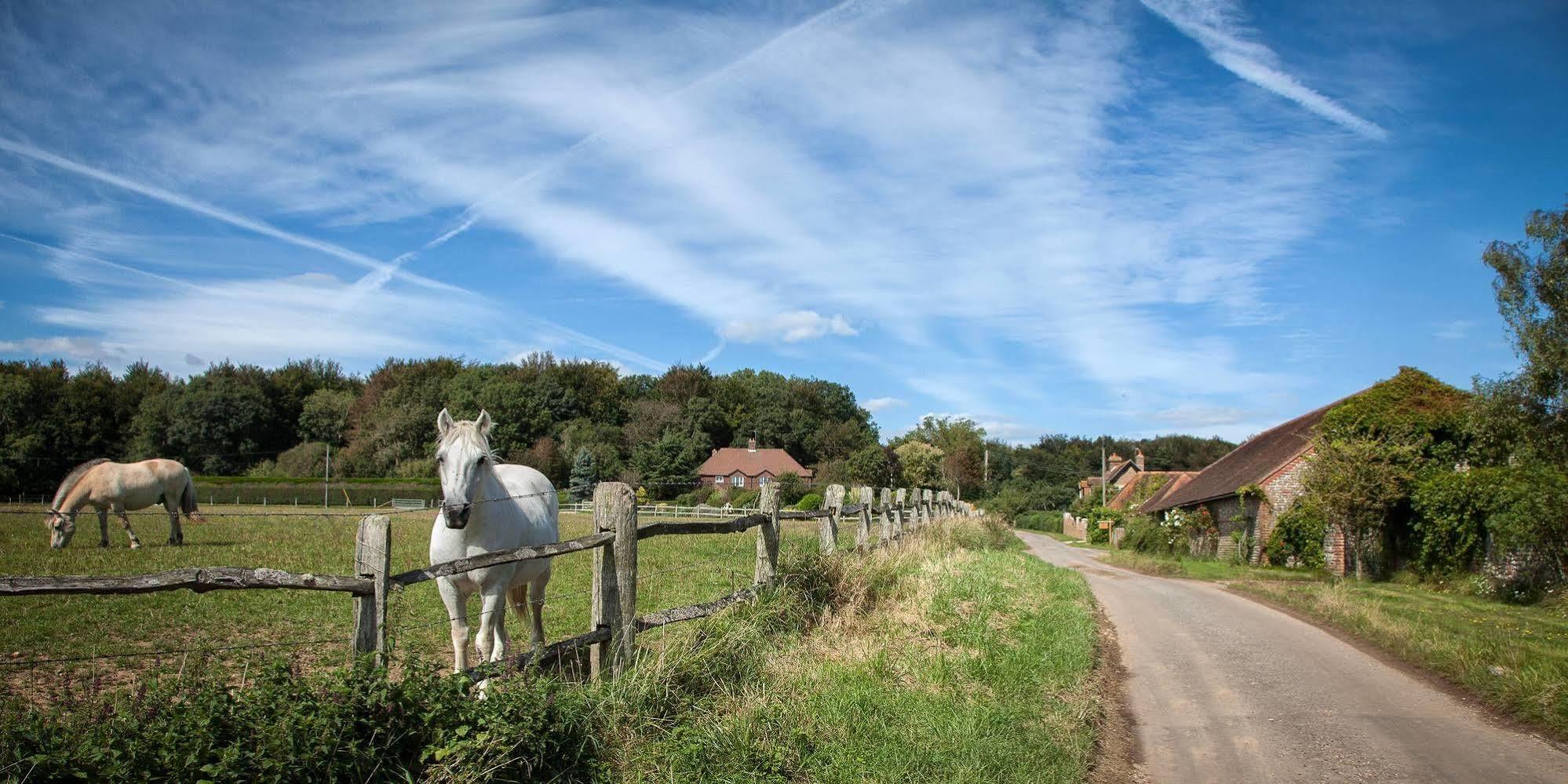Clapham  Old Selden Farm B&B מראה חיצוני תמונה