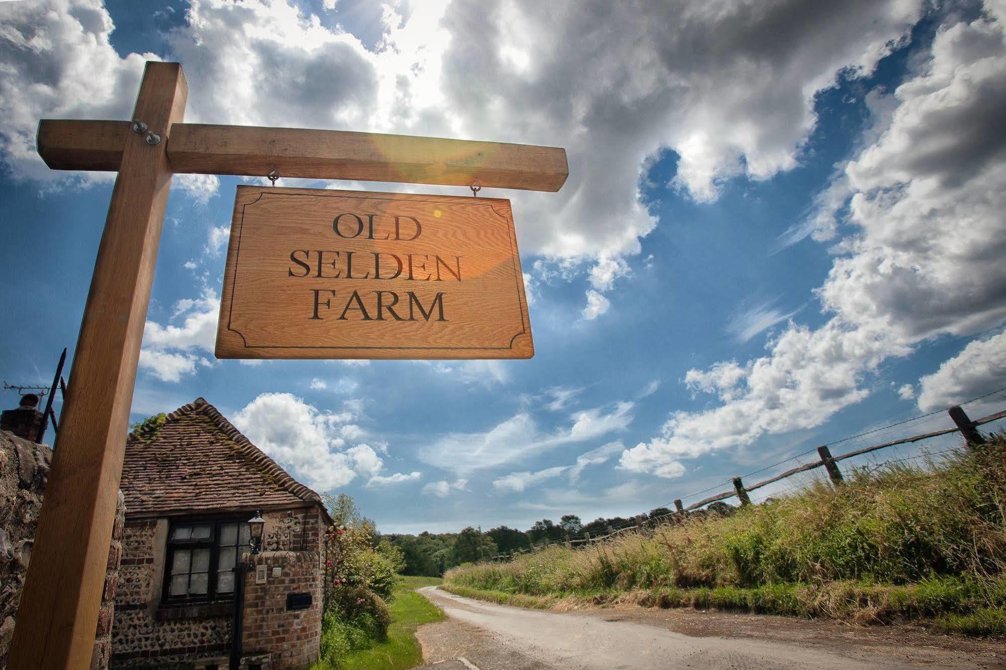Clapham  Old Selden Farm B&B מראה חיצוני תמונה