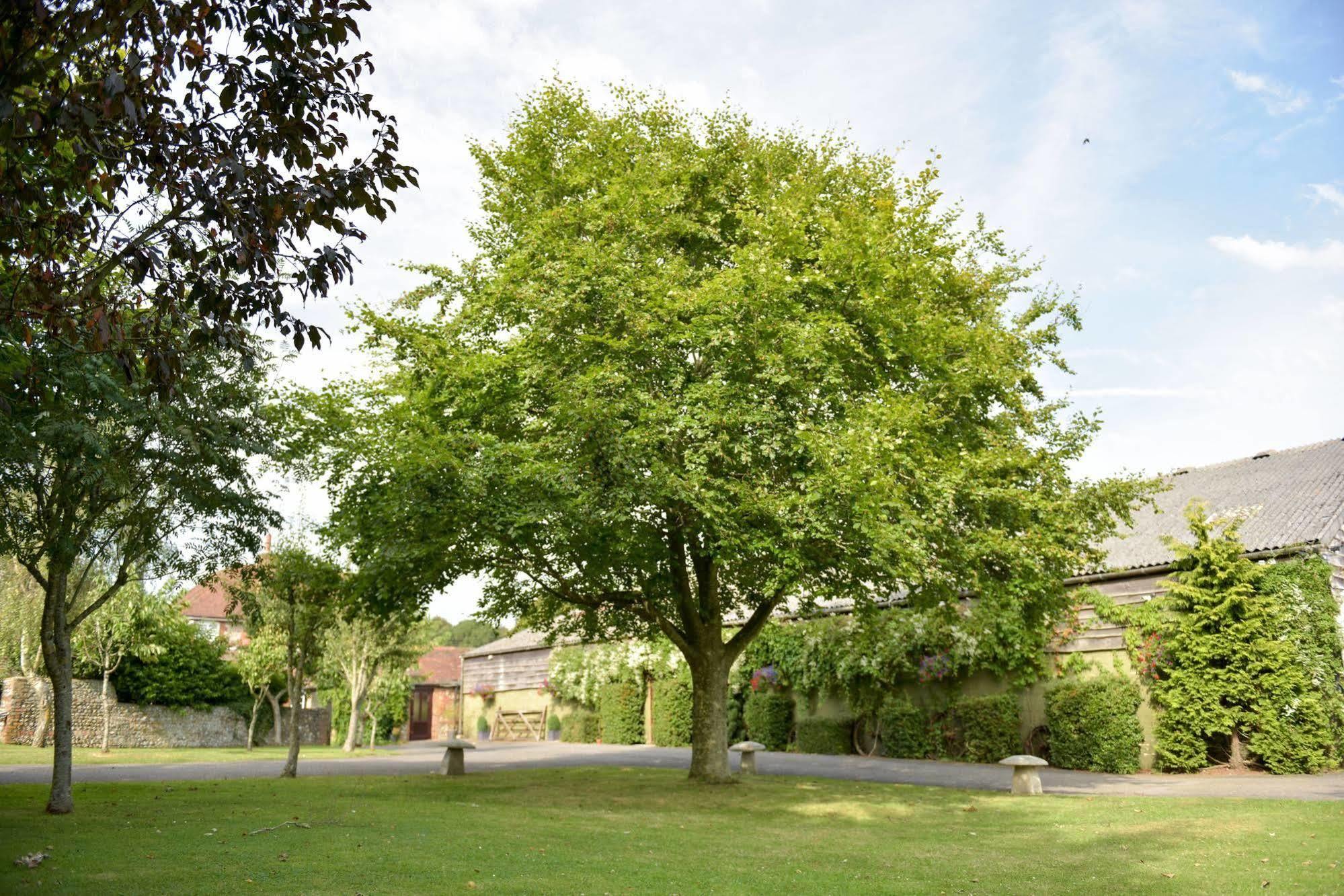 Clapham  Old Selden Farm B&B מראה חיצוני תמונה