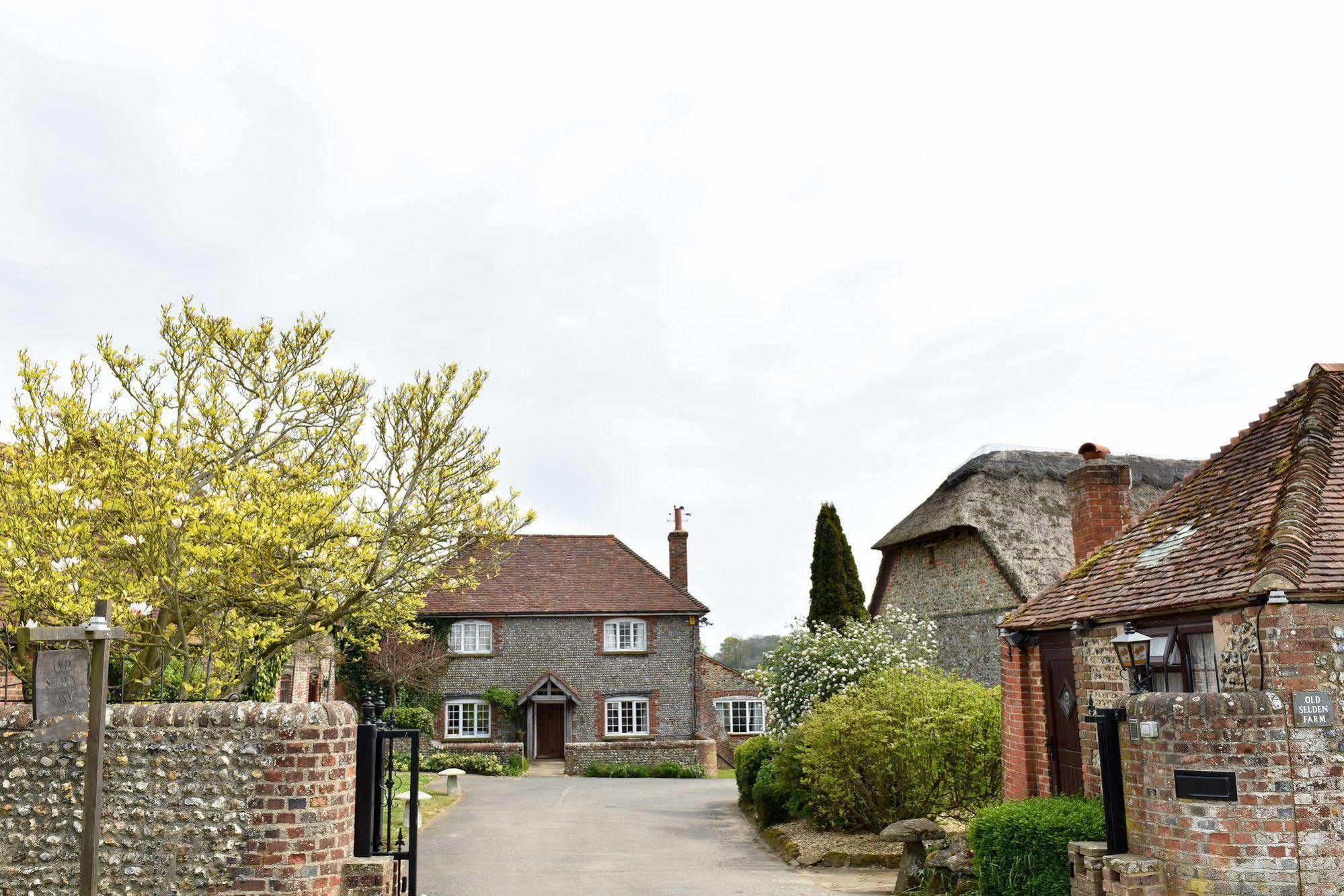 Clapham  Old Selden Farm B&B מראה חיצוני תמונה